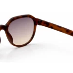 lenstick unisex round tortoise sunglasses flat lay close up