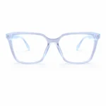 transparent eyeglasses temple detail clear frame glasses lenstick front